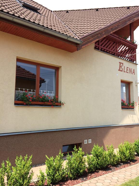 Villa Elena Smizany Exterior photo